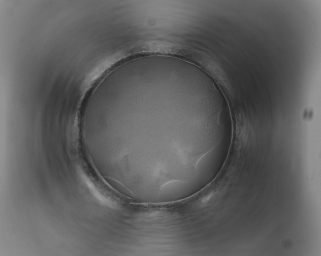 X0000112410674200908211122