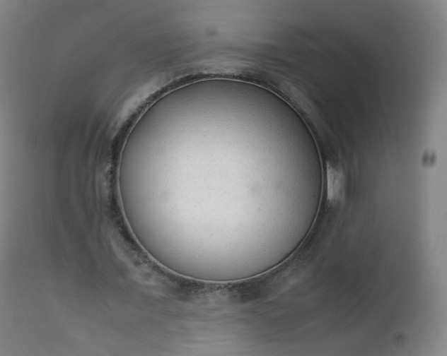 X0000112410675200908211122
