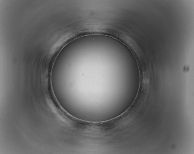 X0000112410677200908211122