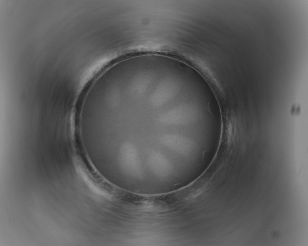 X0000112410678200908211122