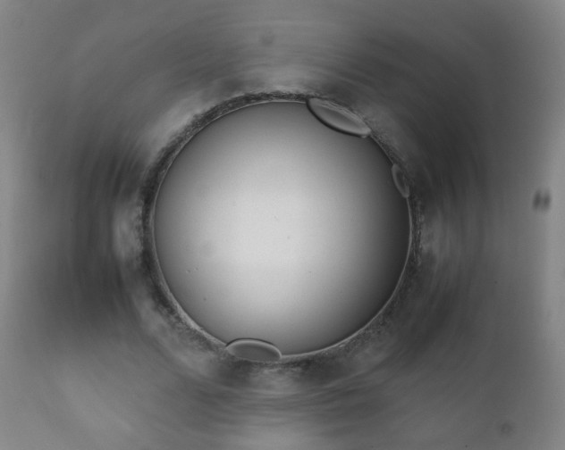 X0000112410680200908211122