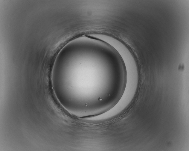 X0000112410681200908211122