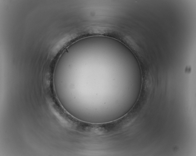 X0000112410683200908211122