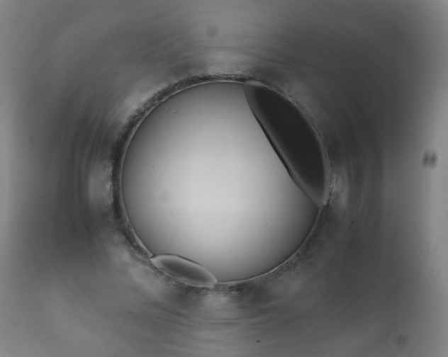 X0000112410684200908211122