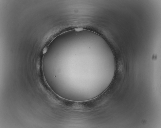 X0000112410685200908211122