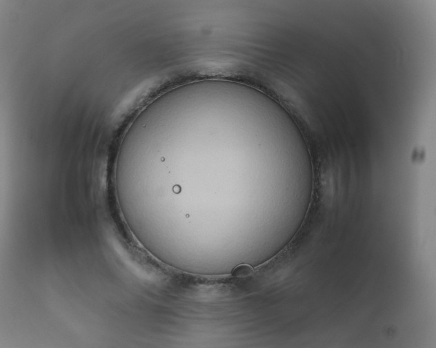 X0000112410686200908211122