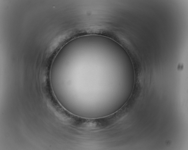 X0000112410687200908211122