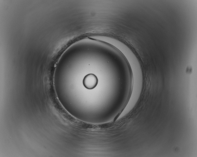 X0000112410688200908211122