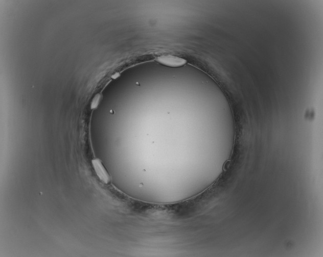 X0000112410689200908211122
