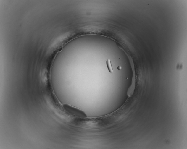 X0000112410692200908211122
