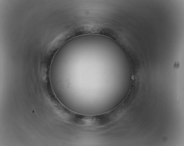 X0000112410693200908211122