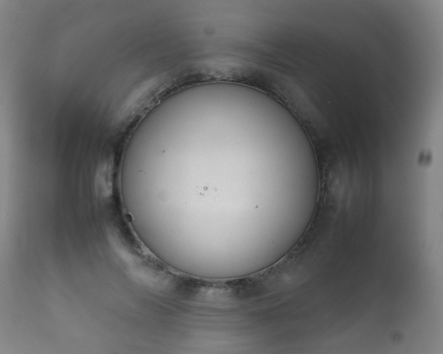 X0000112410694200908211122