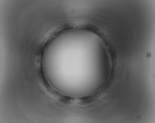X0000112410695200908211122