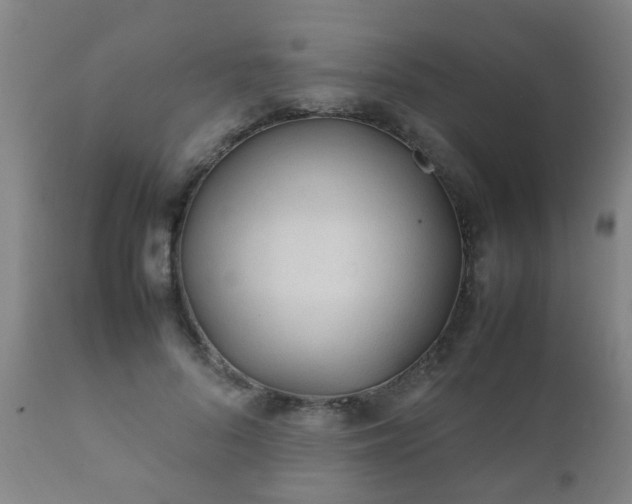 X0000112410696200908211122