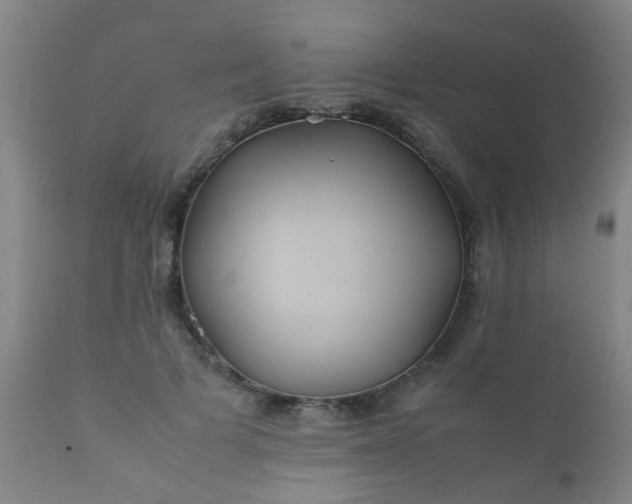 X0000112410697200908211122