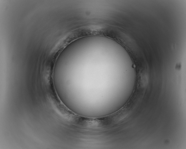 X0000112410698200908211122