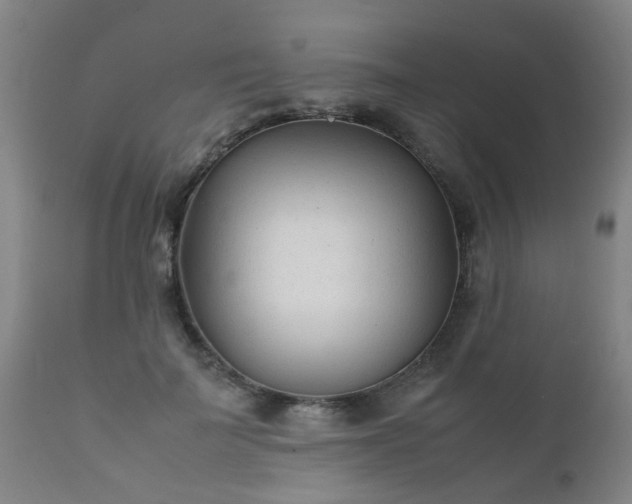 X0000112410699200908211122