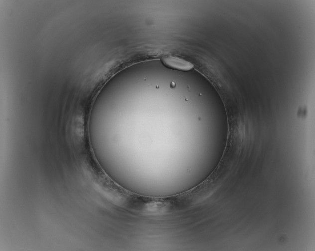 X0000112410700200908211122