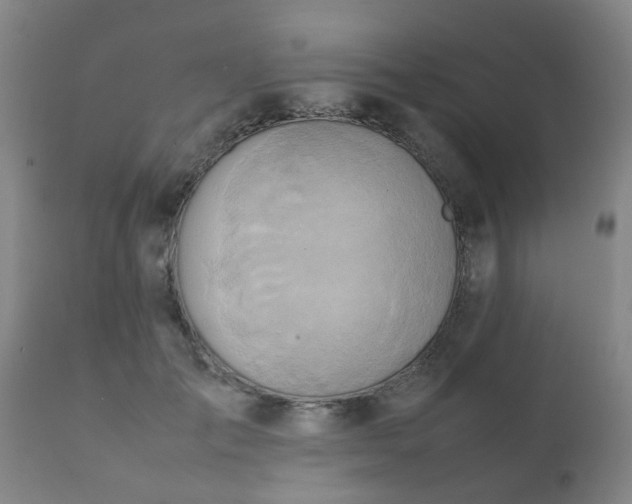 X0000112410701200908211122