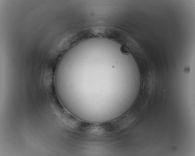 X0000112410702200908211122