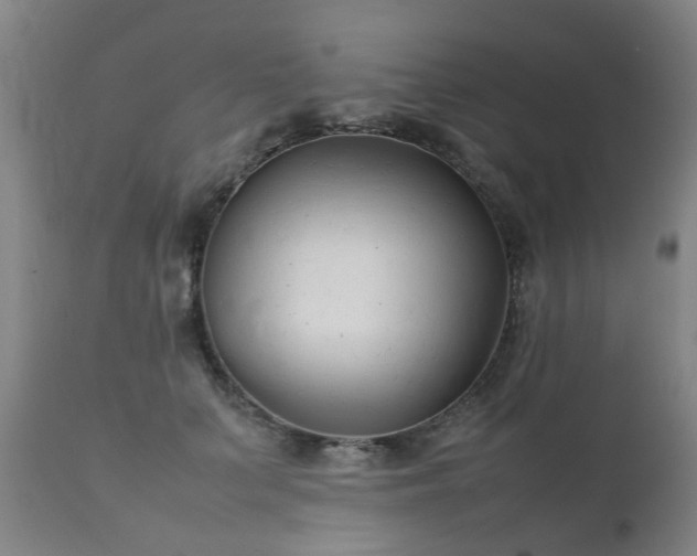 X0000112410703200908211122