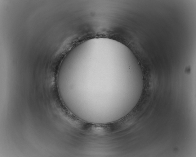 X0000112410706200908211122