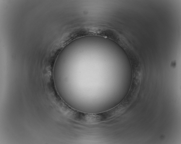 X0000112410707200908211122