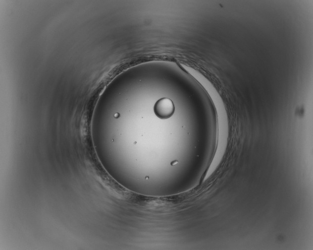 X0000112410708200908211122