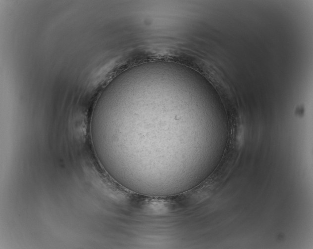 X0000112410710200908211122