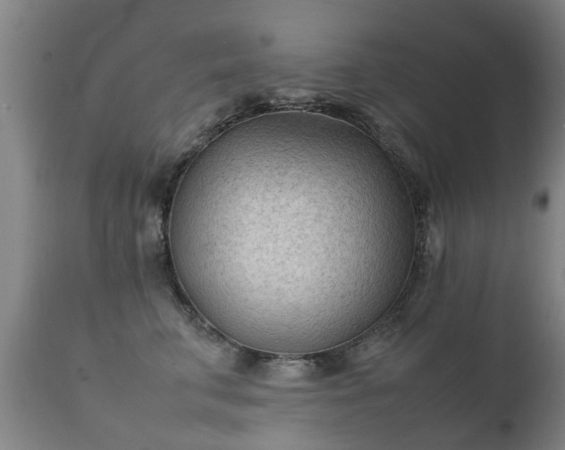 X0000112410711200908211122