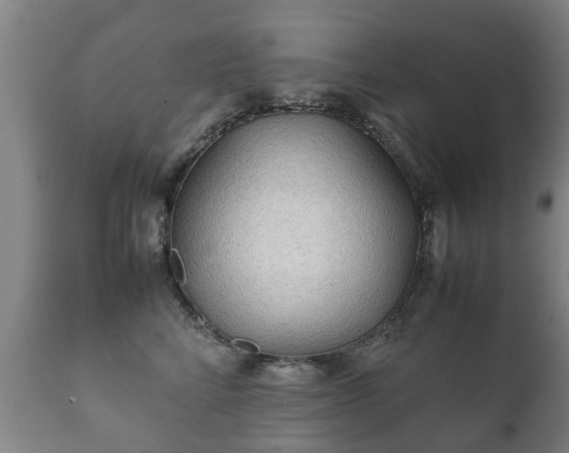 X0000112410712200908211122