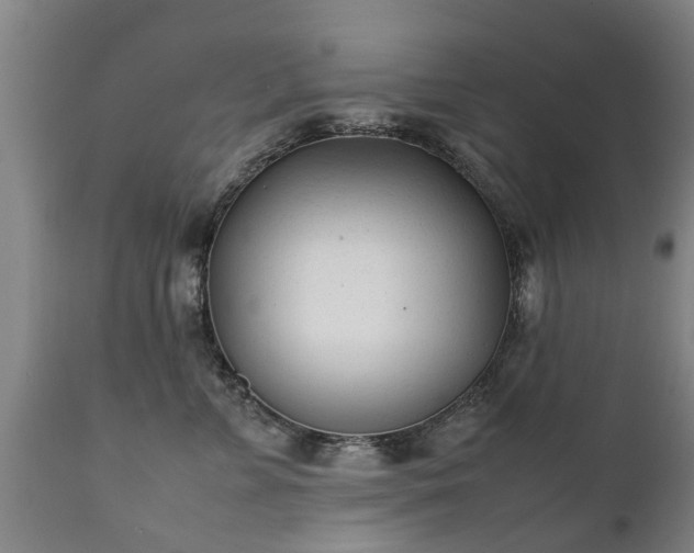 X0000112410715200908211122