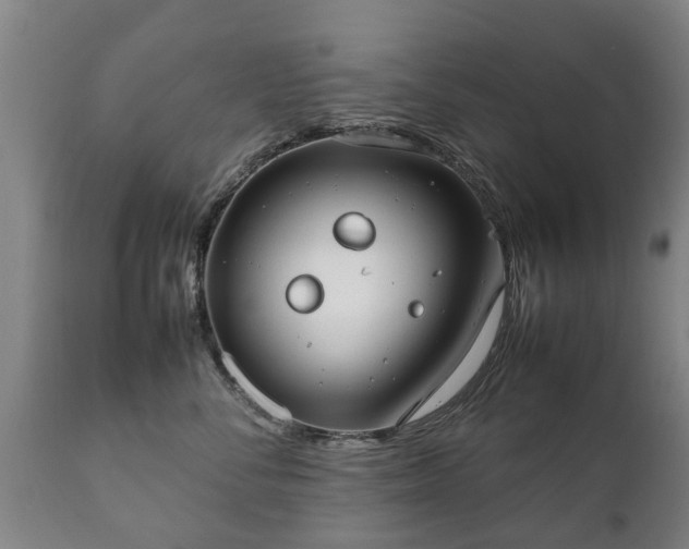 X0000112410716200908211122