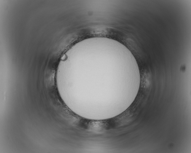 X0000112410717200908211122
