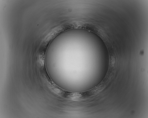 X0000112410719200908211122