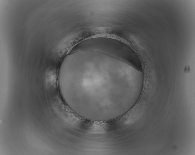 X0000112410720200908211122