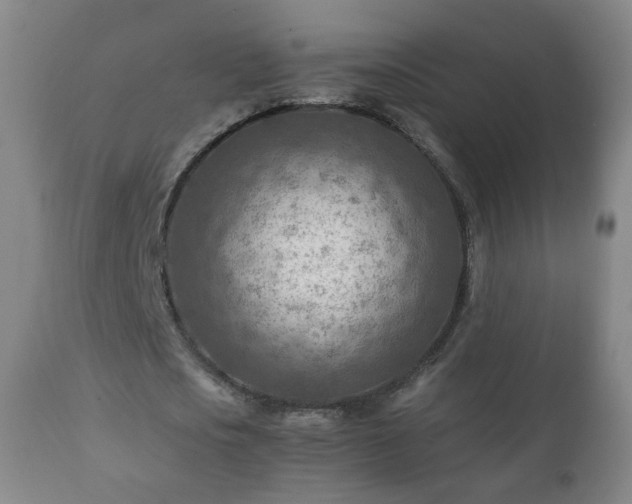 X0000112410721200908211121