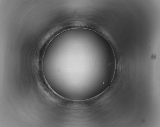 X0000112410722200908211121