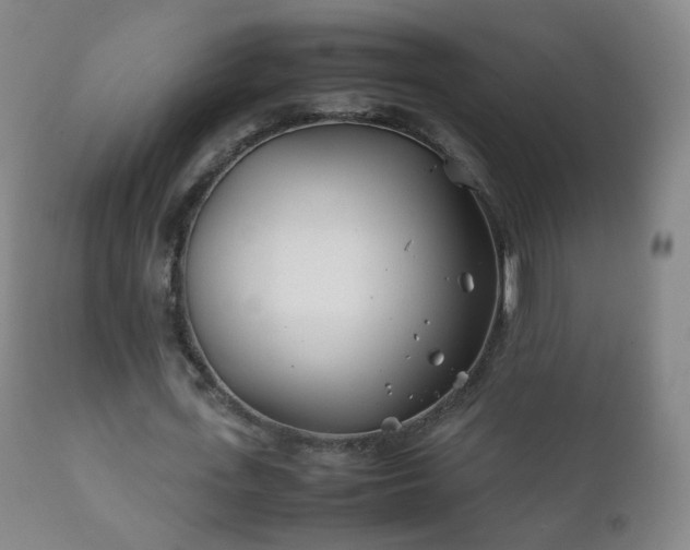 X0000112410723200908211121