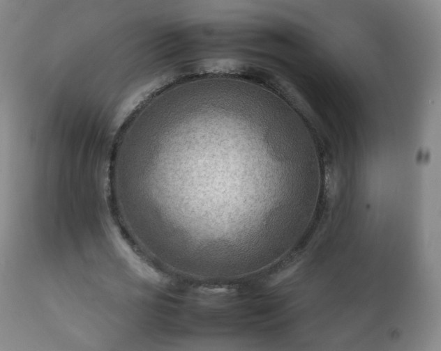 X0000112410725200908211121