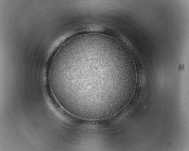X0000112410726200908211121