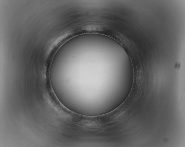 X0000112410727200908211121