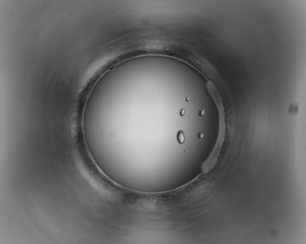 X0000112410728200908211121
