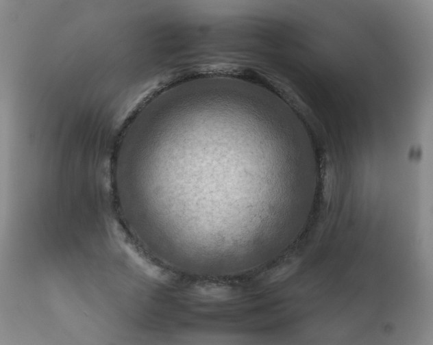 X0000112410729200908211121