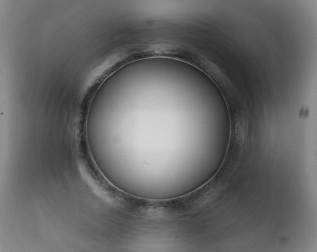 X0000112410730200908211121