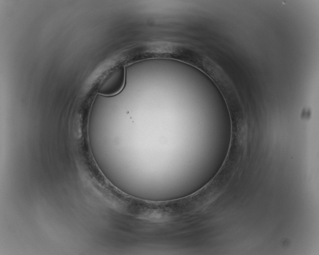 X0000112410731200908211121
