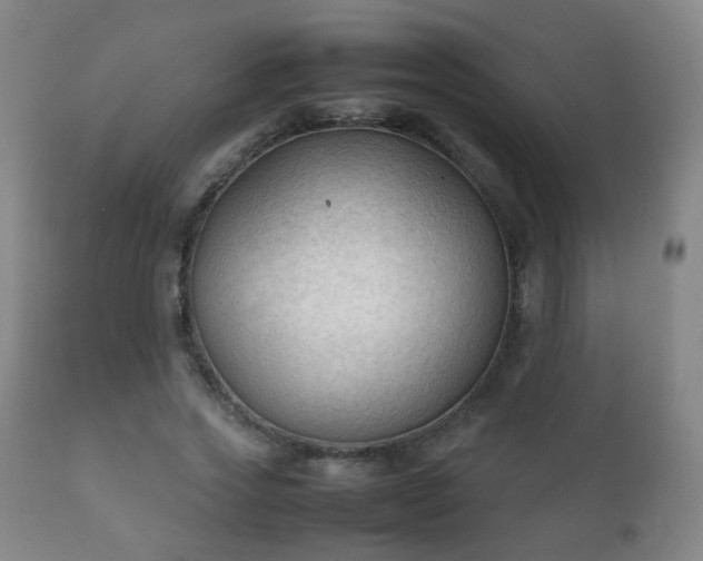X0000112410733200908211121