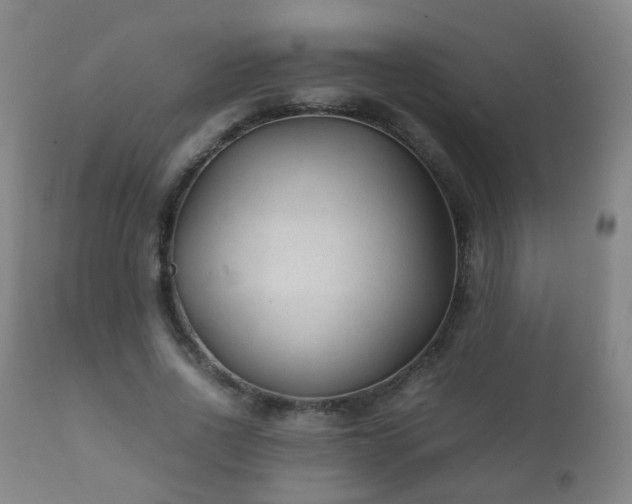 X0000112410734200908211121