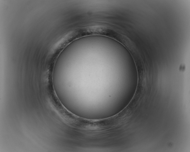 X0000112410735200908211121