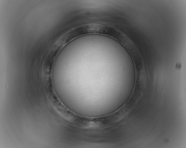 X0000112410737200908211121